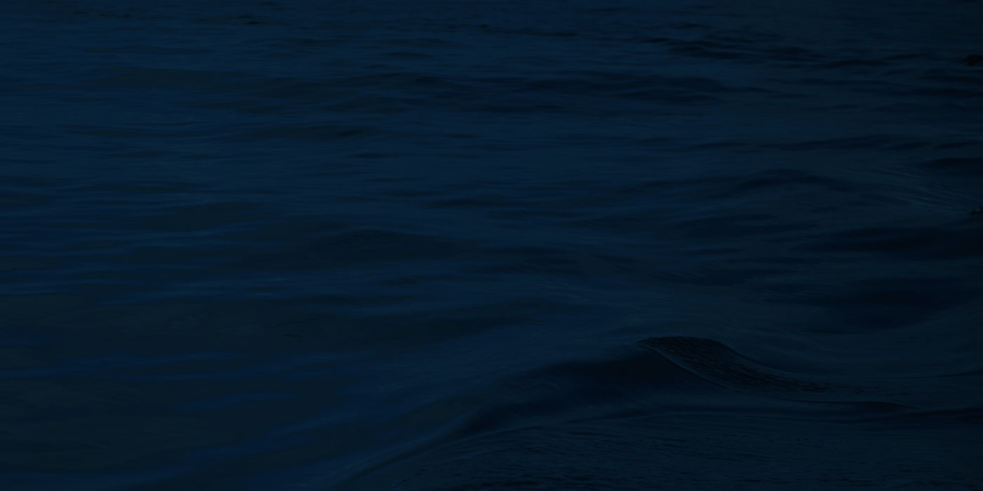 Wave navy navy seal foundation