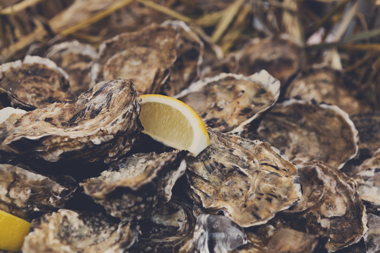 Oyster Roast